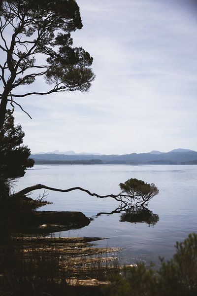 Maria Island: Strahan's Natural Treasure by Ken Tempelers