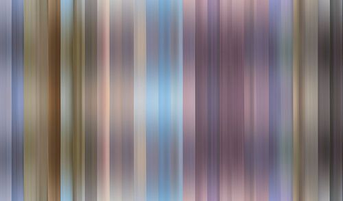 Color palette of De Heide in the Netherlands