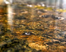 abstract by Ewald Zomer