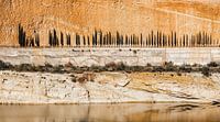 Rij van cypressen tegen een oranje rotsachtige achtergrond van Wout Kok thumbnail