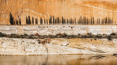 Row of cypress trees against an orange rocky background