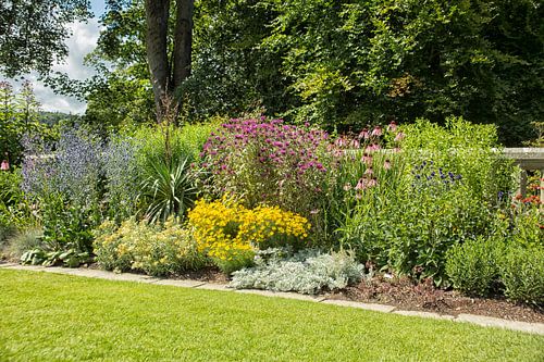 Zomerbloemen in de  border in de tuin