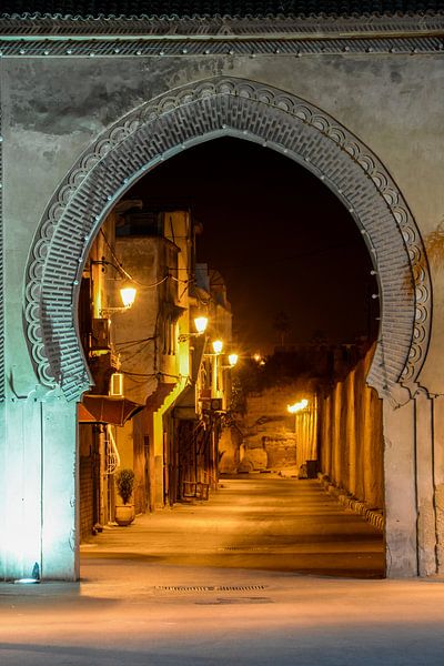 Arabische poort te Meknes van Ton de Koning