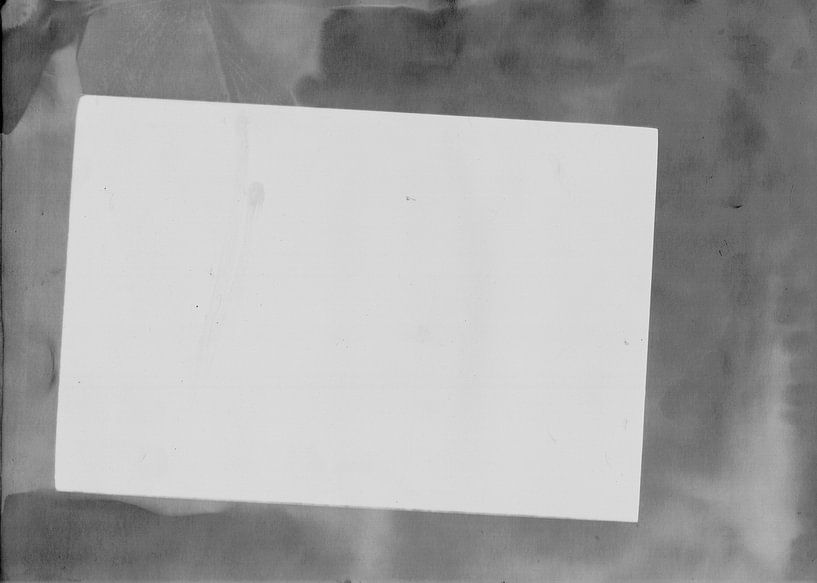 Photogram by han Soete