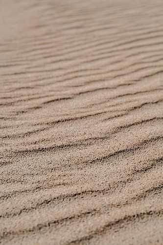 Dutch Beach Sand Renesse | Beach photography color