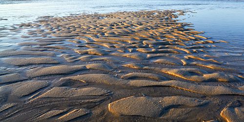 Ondulations de sable dans les eaux peu profondes de la mer du Nord