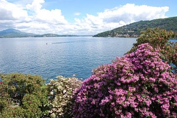 Voorjaar aan het Lago Maggiore van Susan Dekker