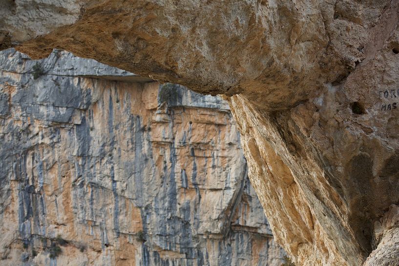 rots van marijke servaes