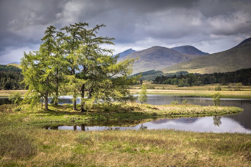 Boomeiland in Loch Tulla aan de zuidelijke rand van Rannoch Moor van Christian Müringer