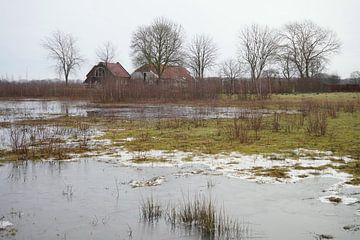 Bauernhof auf dem Lande in Groningen