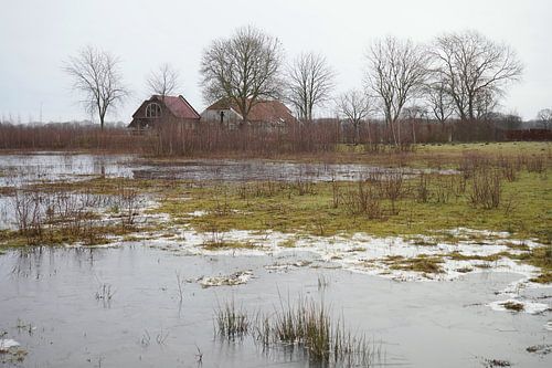 Boerderij in het Groningse land
