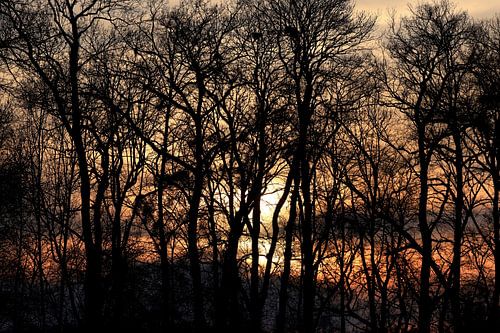 Avondsfeer in de winter