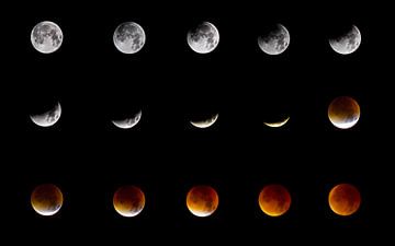 Super Bloodmoon September 2015 by Bas Witkop