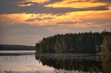 Gouden zonsondergang boven een rustig bosmeer in Scandinavië.