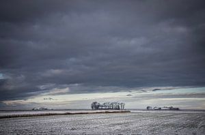 Winter im Noordpolder in Groningen