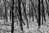 Door de bomen het bos niet meer zien van Ratna Bosch thumbnail