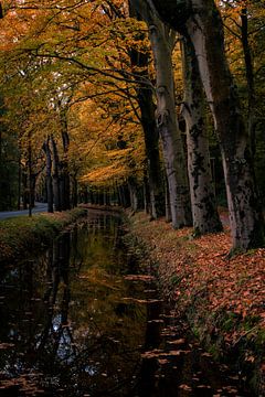 Jahreszeiten in Wassenaar von Sebastian Stef