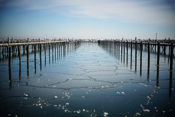 Glace au bord de la mer