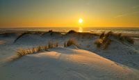 Dunes near Petten by peterheinspictures thumbnail