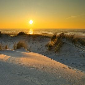 Dunes near Petten by peterheinspictures