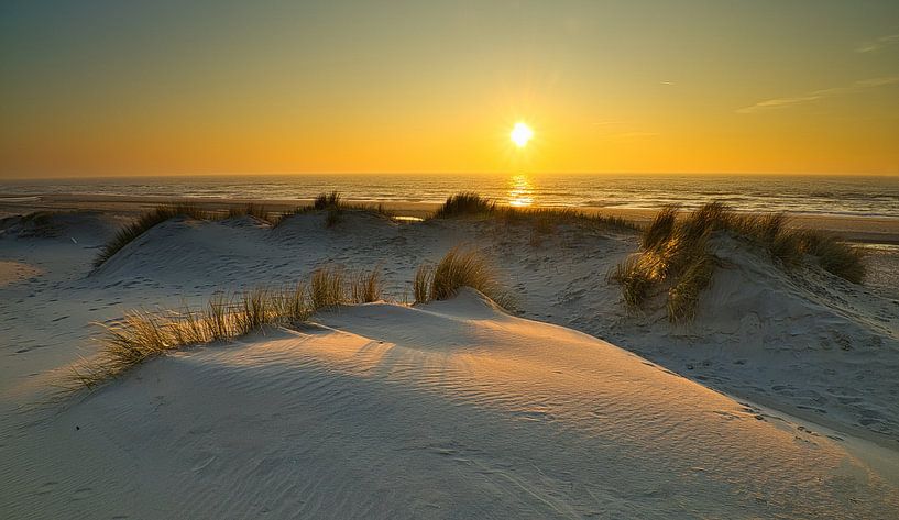 Dunes near Petten by peterheinspictures