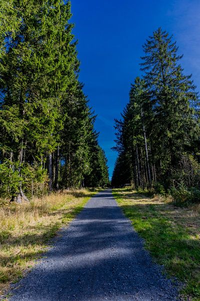 En route dans le parc national de la Rhön par Oliver Hlavaty
