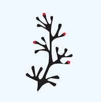 Branch with harvested berries