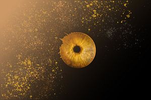 Photographie de l'iris