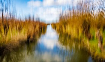 Knowilgen, fotografiert mit ICM