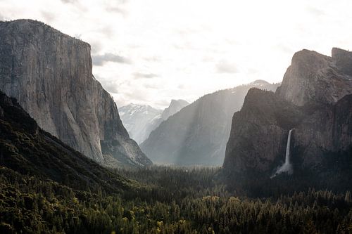 Golden Tunnel View