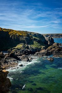 The colours of Scotland