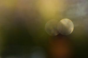 Lichtkreise