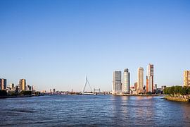 Blick auf Rotterdam von der Maas aus