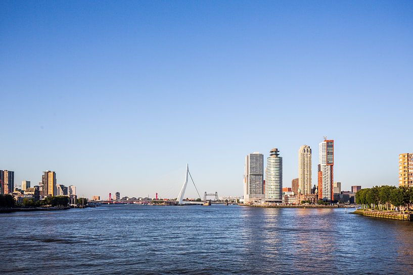 view of Rotterdam from the Maas by Eric van Nieuwland
