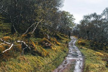 ancien chemin de charrette, Arran, Skye, Écosse sur Fenna Duin-Huizing