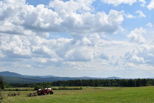 Velden tijdens de oogst