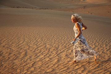 In de woestijn van Dubai van Christel Smits