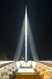 Pont Calatrava - Harpe 1/1 sur Anton de Zeeuw