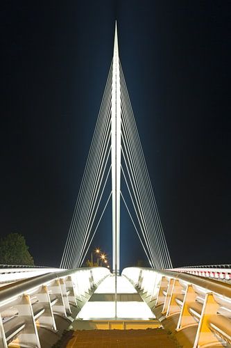 Calatravabrug - Harp 1/1