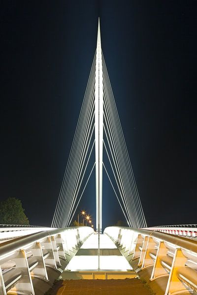 Calatrava-Brücke - Harfe 1/1 von Anton de Zeeuw