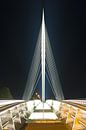 Pont Calatrava - Harpe 1/1 par Anton de Zeeuw Aperçu