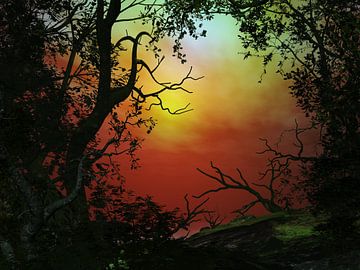Zonsondergang in het bos van Angel Estevez