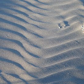 Strand von Anneke Antonides