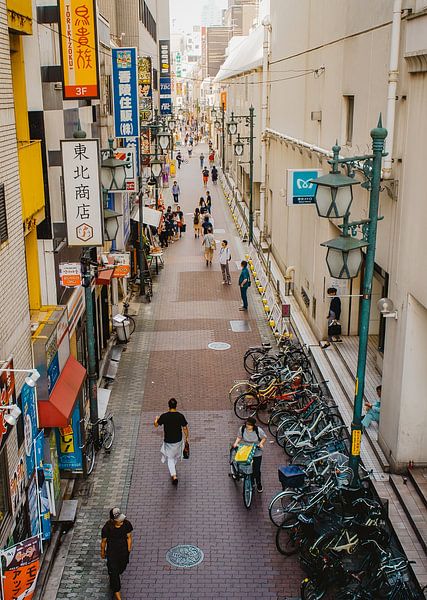 Shitamachi wandeling: Het leven in steegjes in Japan van Artivisual