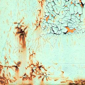 Die Farbe der Abnutzung von Cobi de Jong