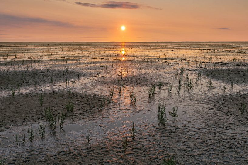 Last light by Jan Koppelaar Fotografie