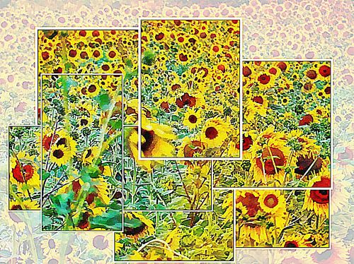 Montage Tournesol