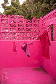 Rosa Wäscheleine von Hazel Pasman