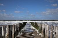 View between the breakwaters at sea