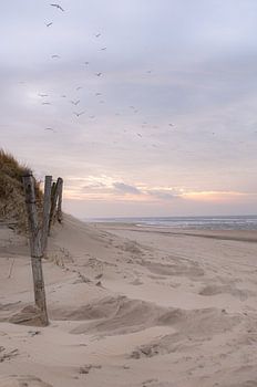 Coucher de soleil sur la plage près de Noordwijk